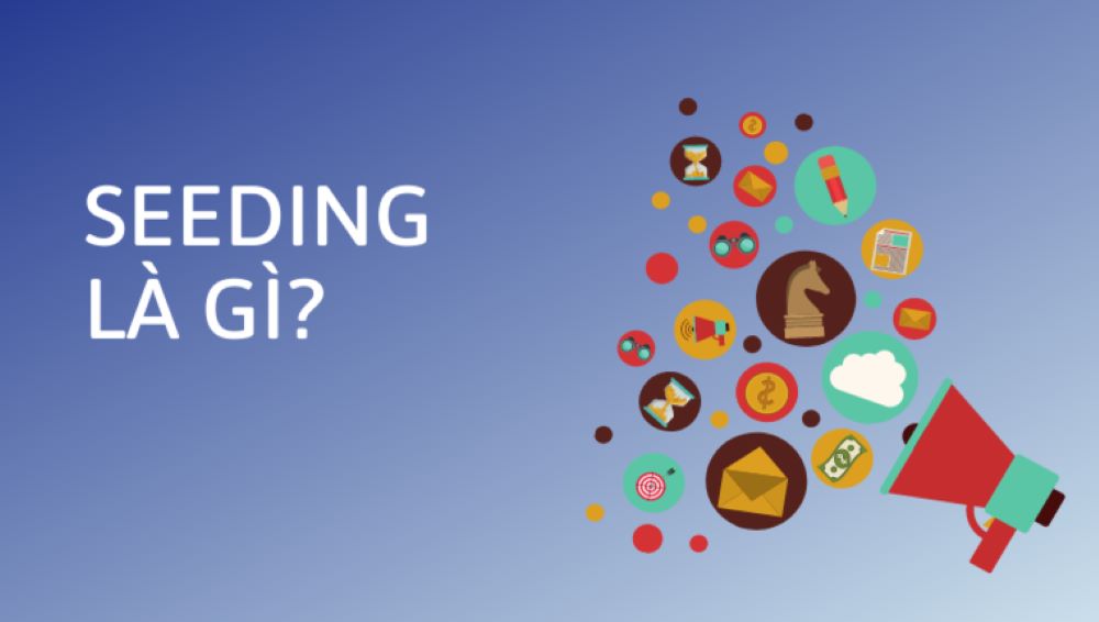 kịch bản seeding