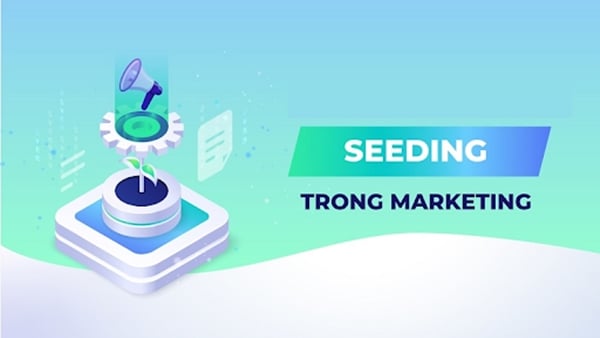 Cách triển khai nội dung seeding cũng là điểm đáng chú ý