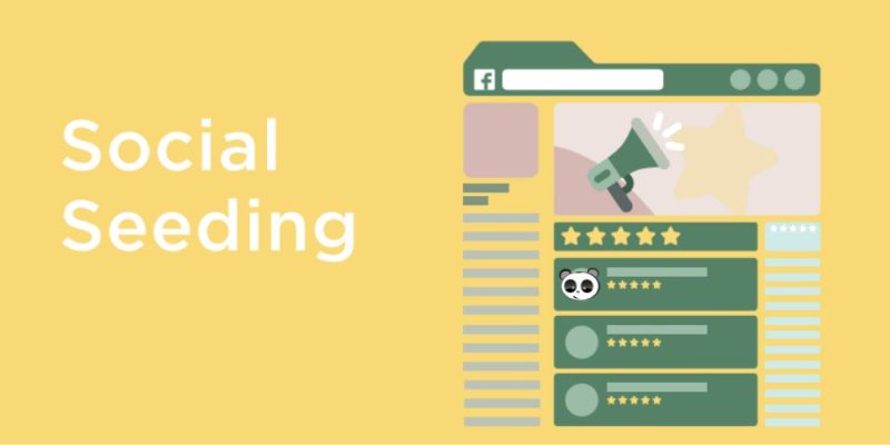 quy trình social seeding