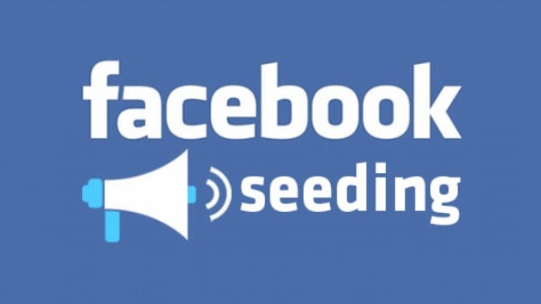 Nhiều doanh nghiệp lựa chọn dịch vụ seeding group Facebook để triển khai bài bản hơn