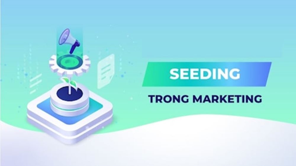 seeding ra mắt sản phẩm