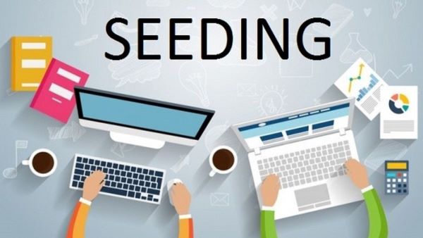 Social seeding là chiến lược marketing sử dụng mạng lưới người thật, tài khoản thật để lan tỏa nội dung một cách tự nhiên
