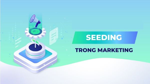 Sự khác nhau giữa social seeding và seeding comment nằm ở chiều sâu chiến lược