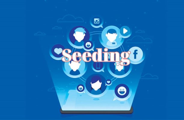 social seeding vi phạm