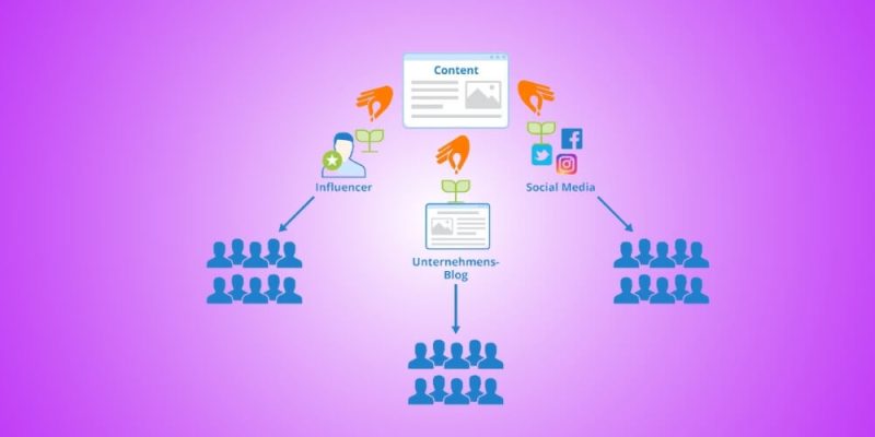 vai trò của social seeding
