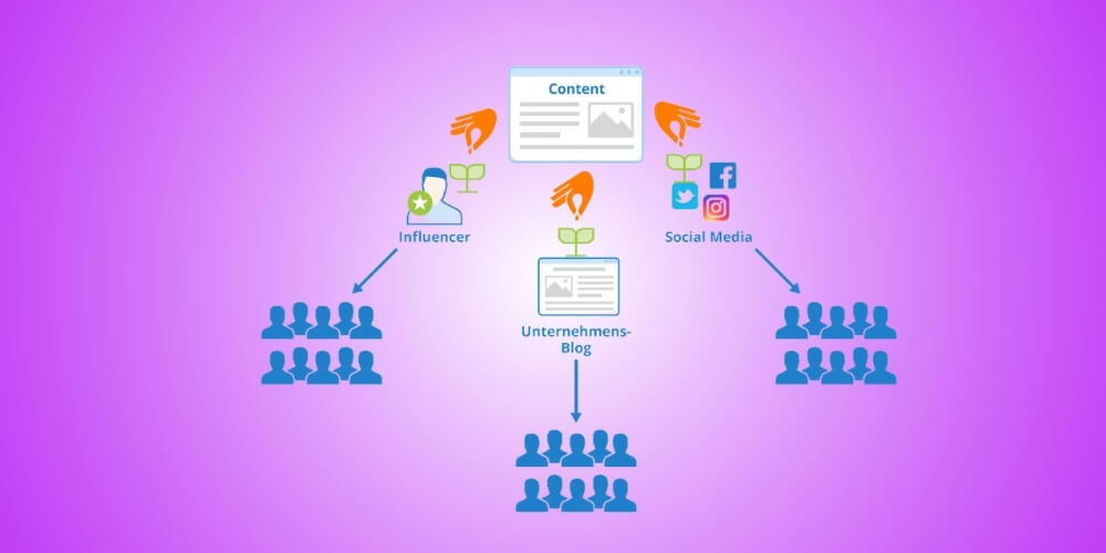 vai trò của social seeding